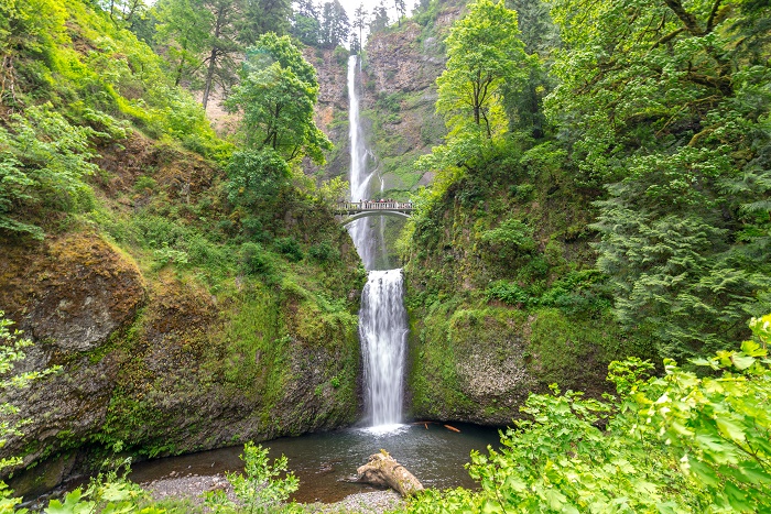 3 Multnomah