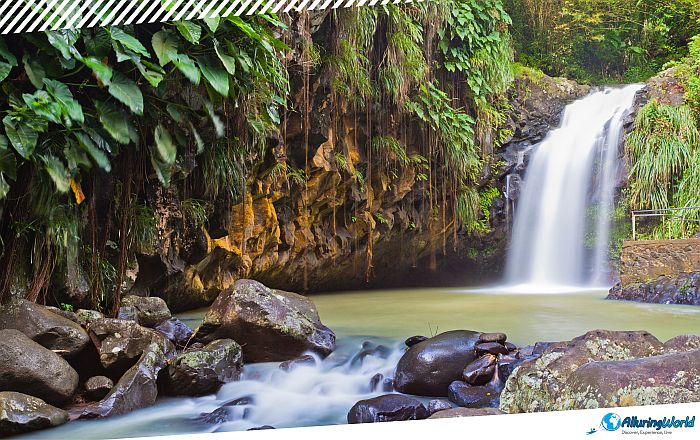 4 Grand Étang National Park in Grenada