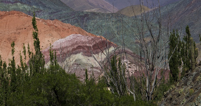 5 Siete Colores