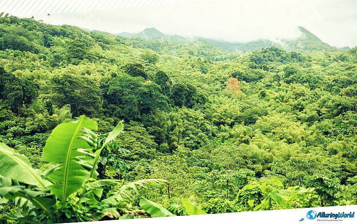 6 Grand Étang National Park in Grenada
