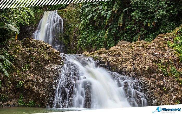 7 Grand Étang National Park in Grenada