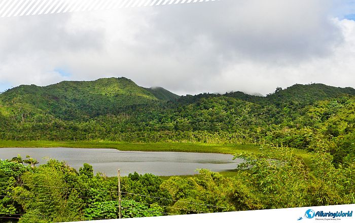 9 Grand Étang National Park in Grenada