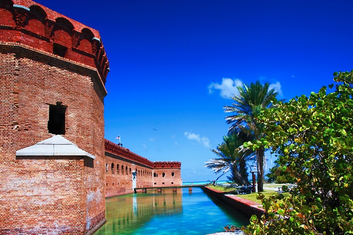 1 Dry Tortugas