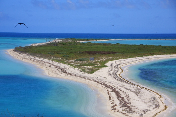 8 Dry Tortugas