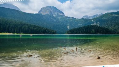1 Black Lake in Montenegro