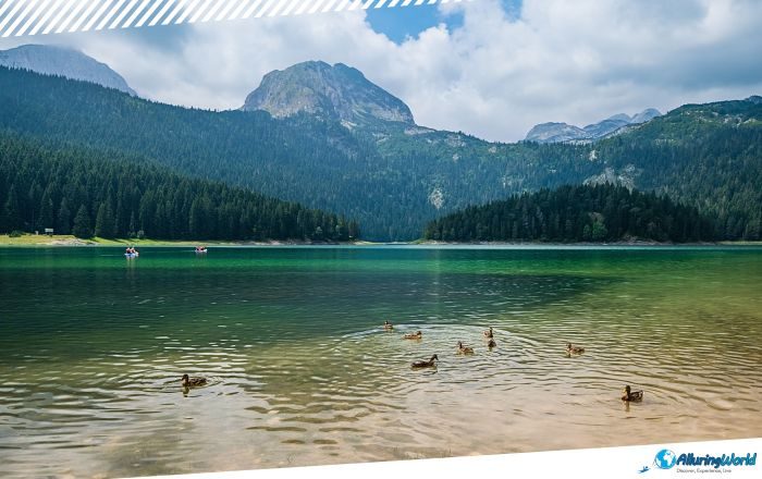 1 Black Lake in Montenegro