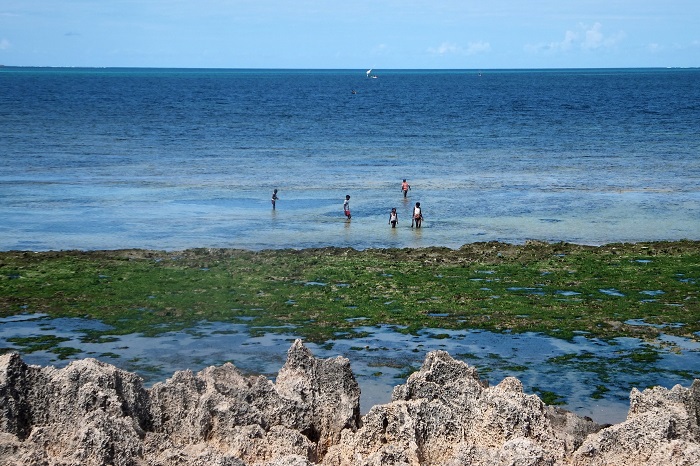 10 Island Mozambique