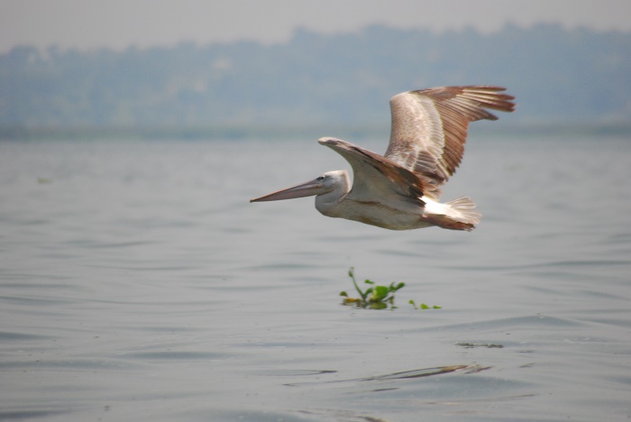 2 LakeVictoria