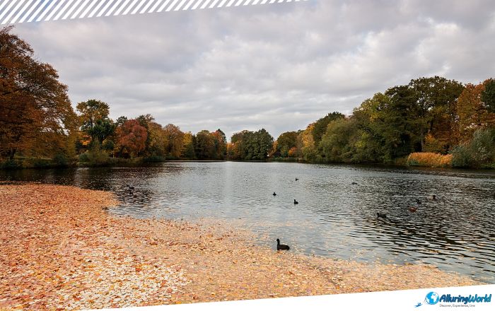 5 Charlottenburg Palace in Berlin