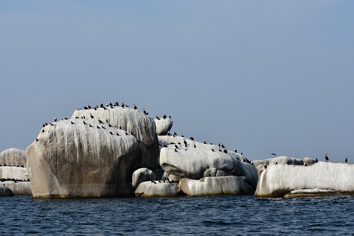 5 LakeVictoria