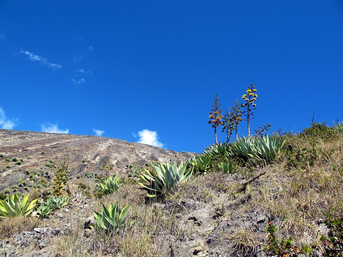 3 Ana Volcano