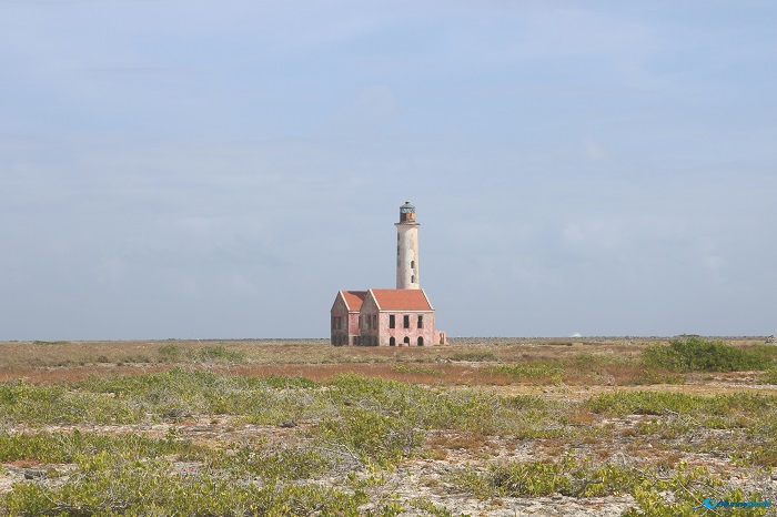 3 Klein Curaçao