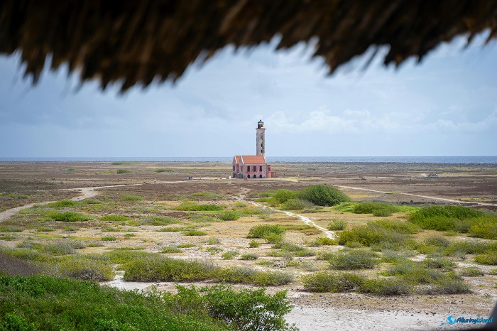 8 Klein Curaçao
