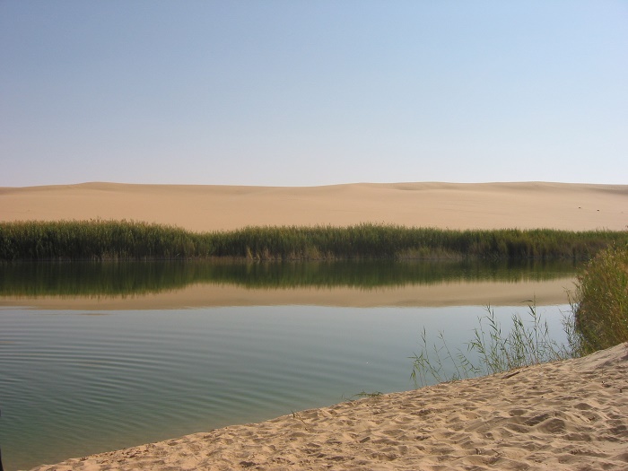 1 Siwa Oasis