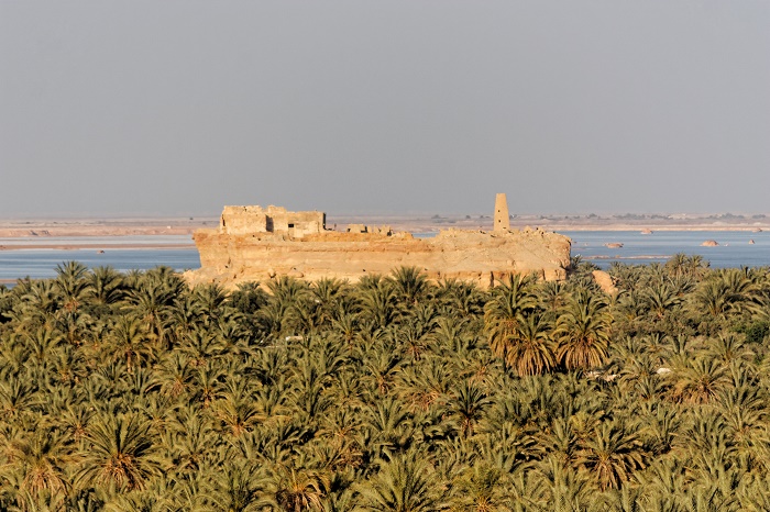 2 Siwa Oasis