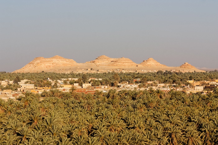 3 Siwa Oasis