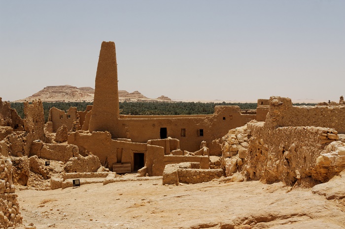 4 Siwa Oasis