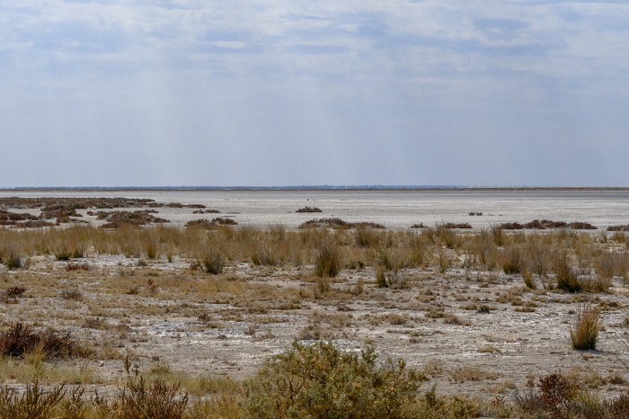 11 Etosha