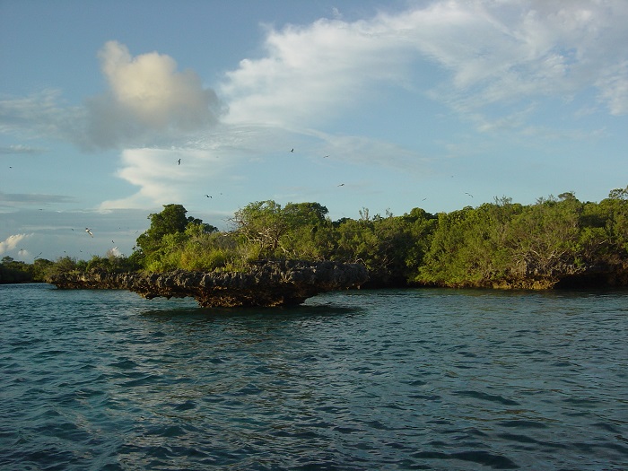 14 Aldabra