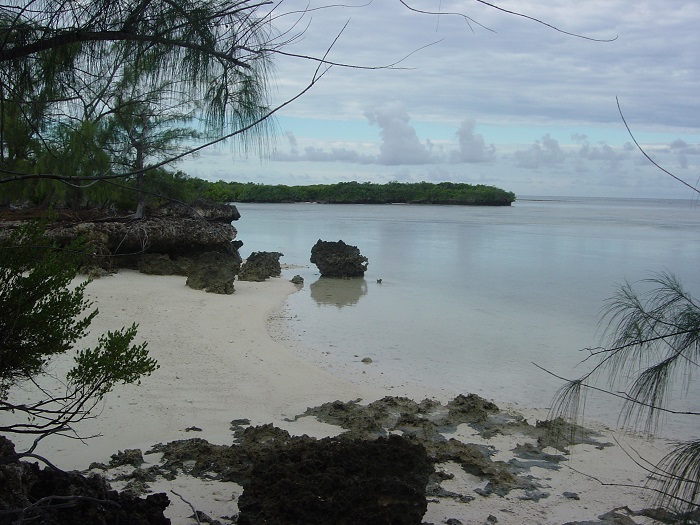 15 Aldabra