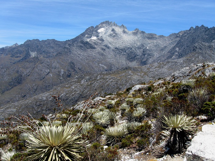 Pico Bolívar 