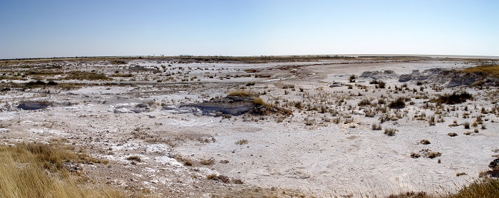 4 Etosha