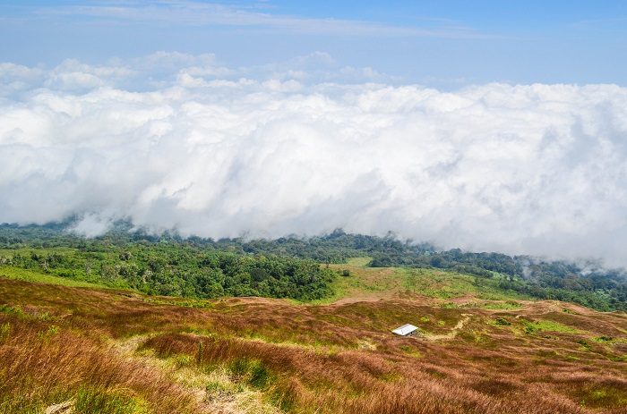 4 Mount Cameroon