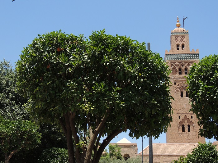 6 Koutoubia