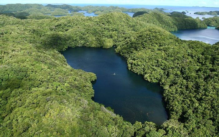 1 Jellyfish Lake