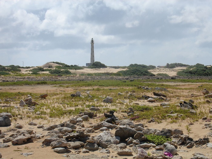 3 California Aruba