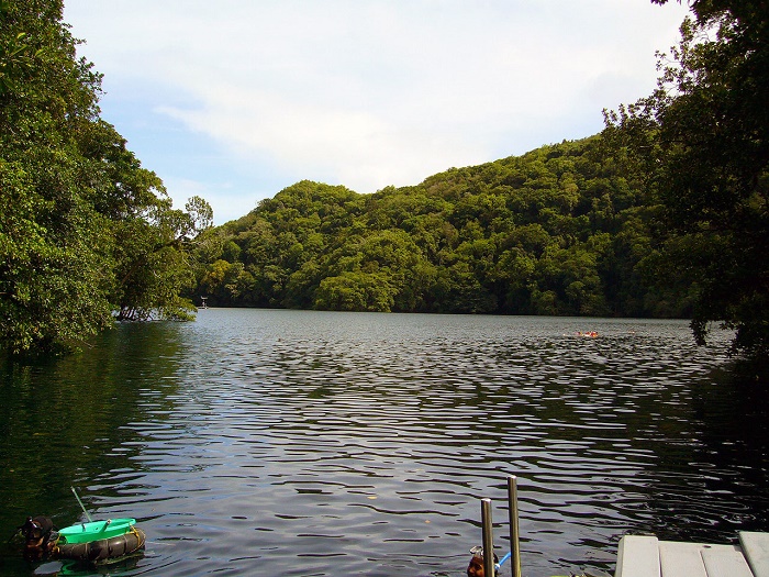 5 Jellyfish Lake