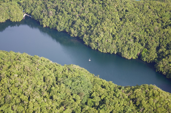 8 Jellyfish Lake