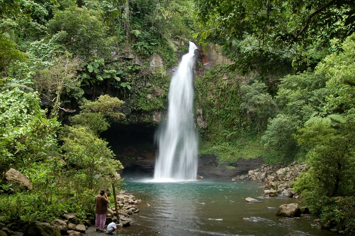 2 Bouma Fiji