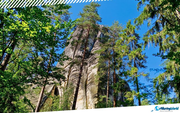 1 Adršpach-Teplice Rocks