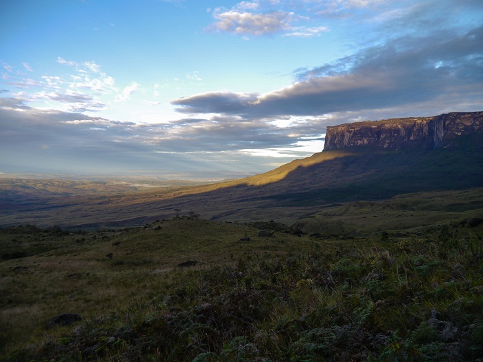 10 Roraima