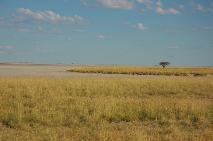 11 Makgadikgadi