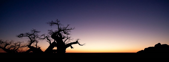 3 Makgadikgadi