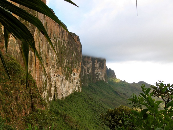 3 Roraima