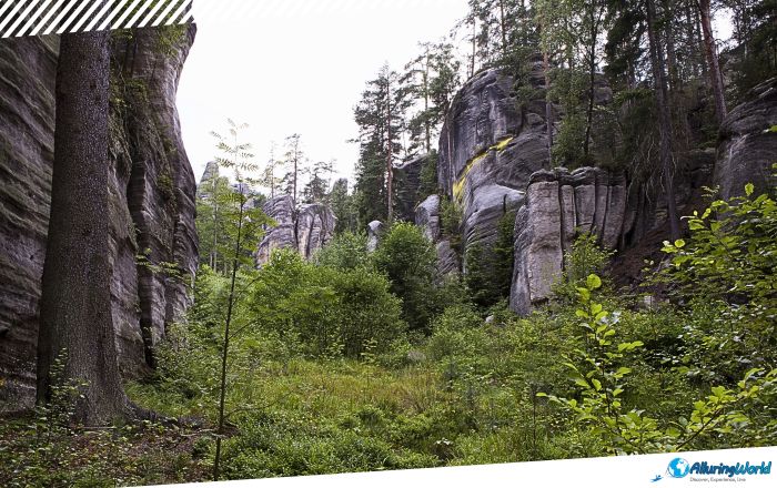 7 Adršpach-Teplice Rocks