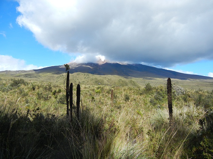 7 Cotopaxi