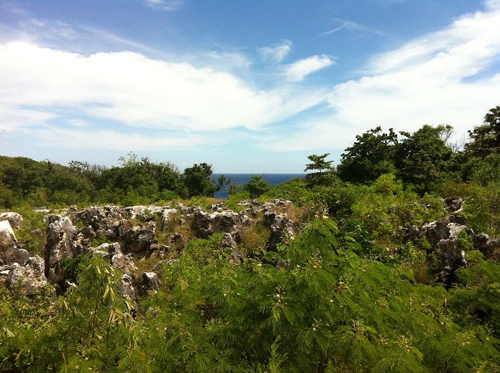 10 Nauru Mines