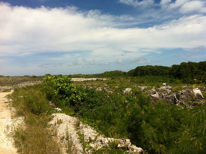 11 Nauru Mines