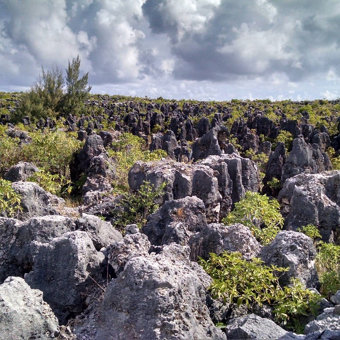 6 Nauru Mines