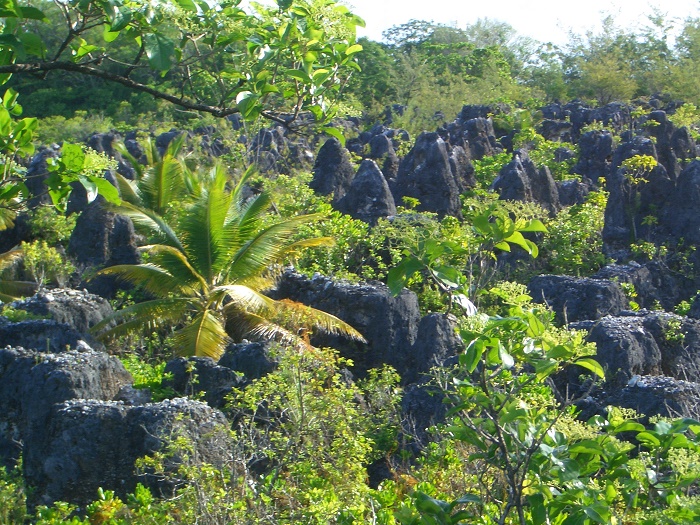 7 Nauru Mines