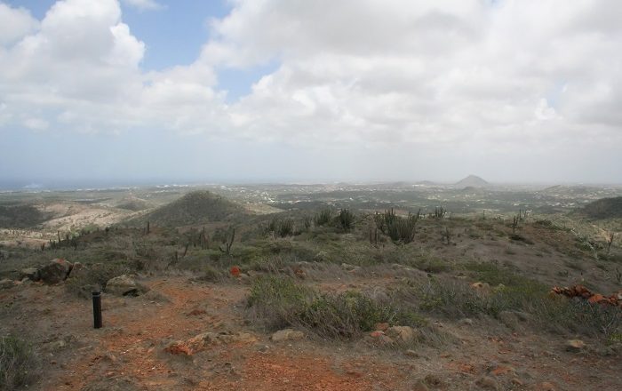 1 Jamanota Aruba