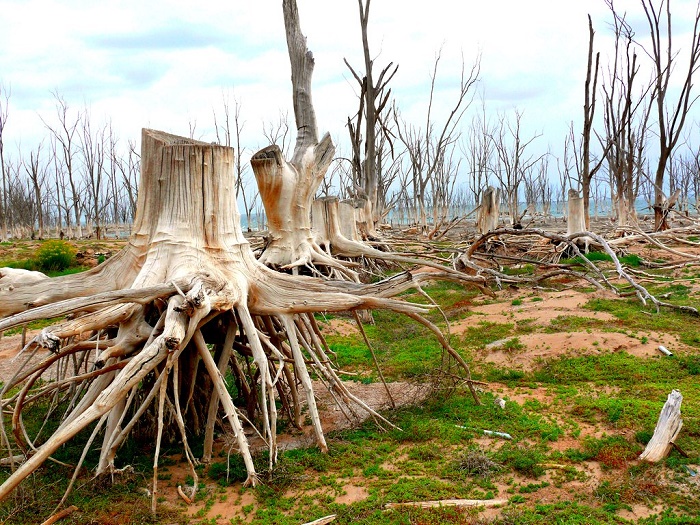 2 Epecuen