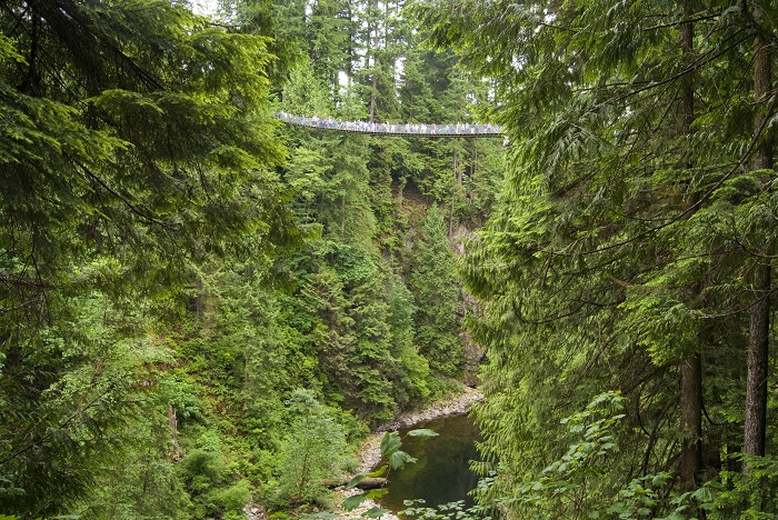 3 Capilano Bridge