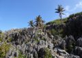 3 Huvalu