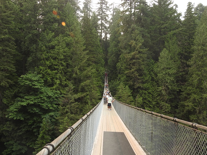 5 Capilano Bridge