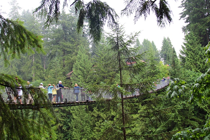 6 Capilano Bridge